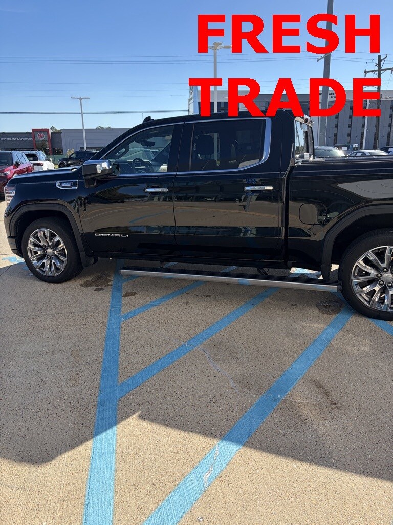 2023 Gmc Sierra 1500 Denali photo 4
