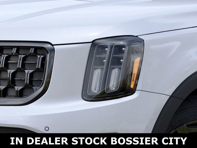 2025 Kia Telluride SX X-Line - Photo 10