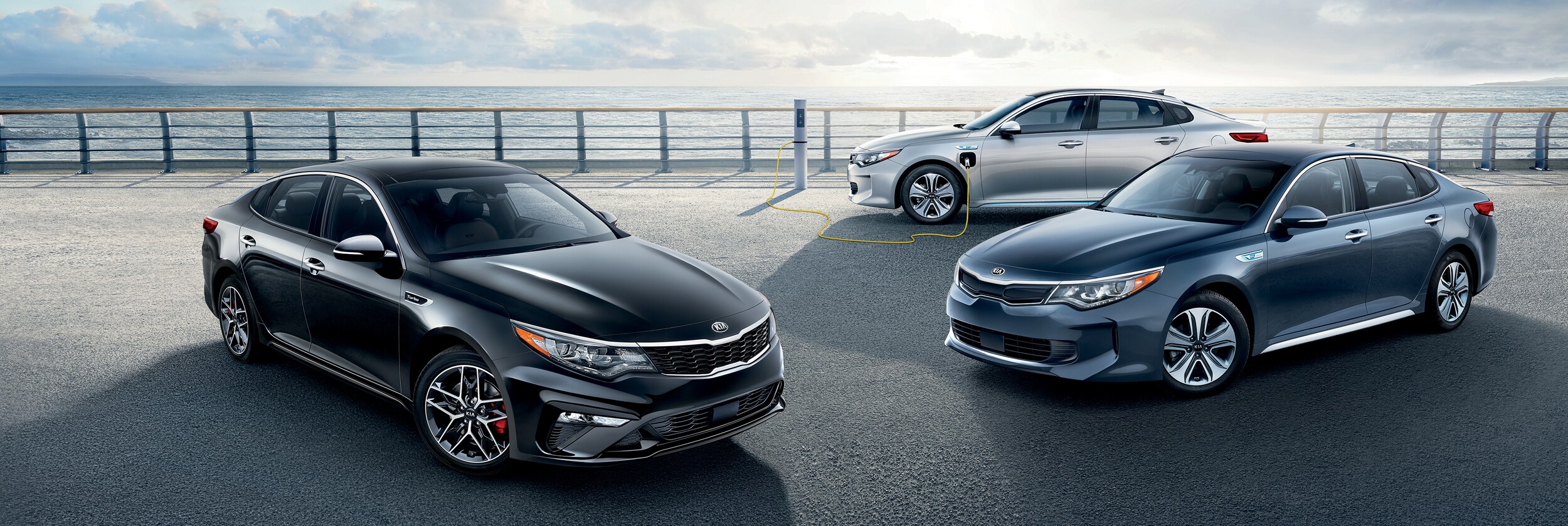 2019 Kia Lineup.jpeg