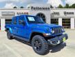 2025 Jeep Gladiator TEXAS TRAIL 4X4 Pickup