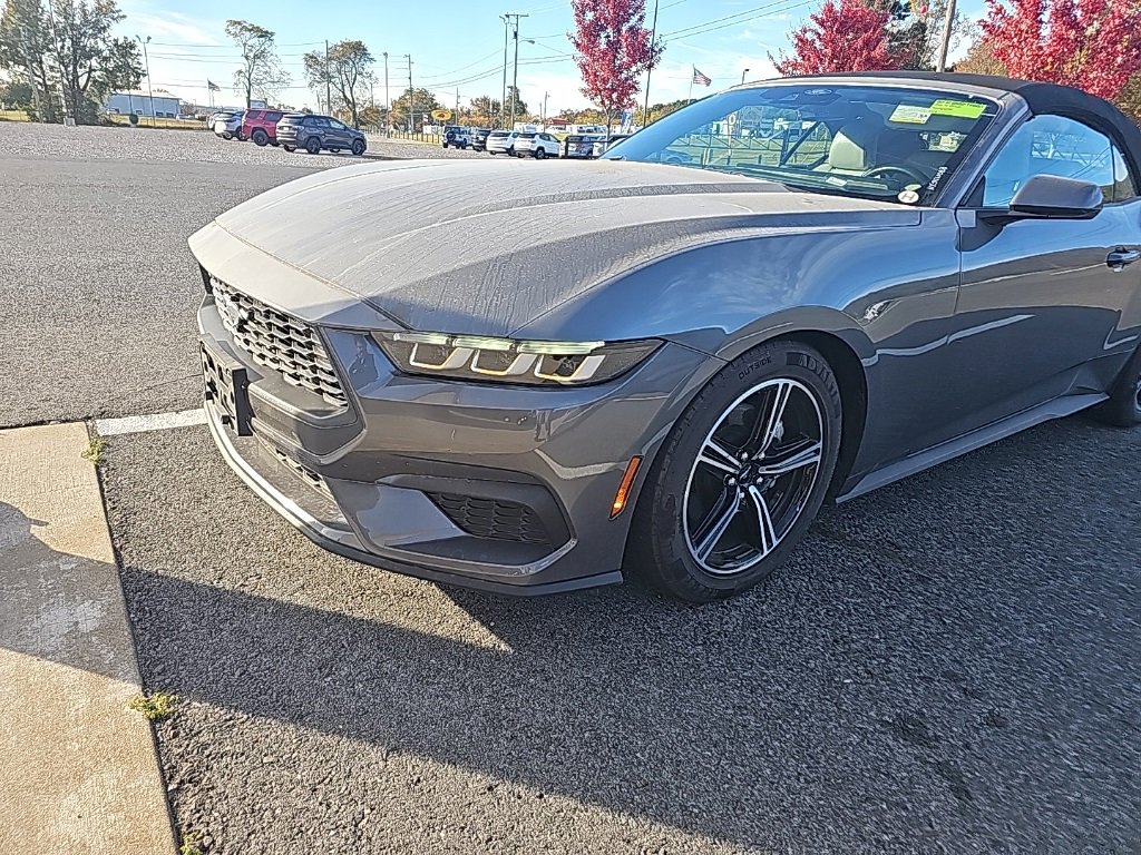 2024 Ford Mustang EcoBoost Premium photo 2