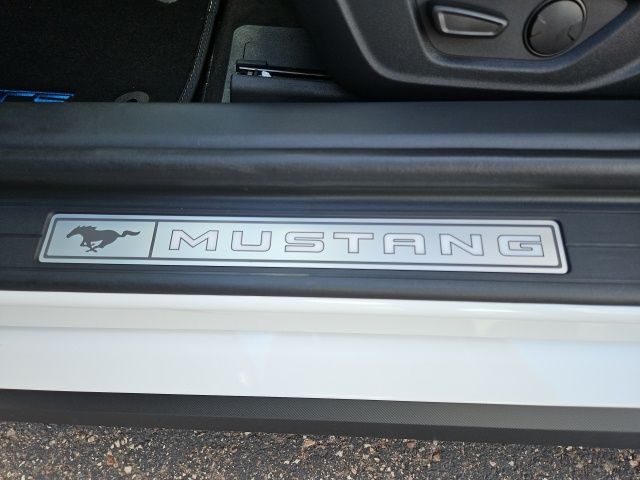 2025 Ford Mustang GT Premium Convertible - Photo 18