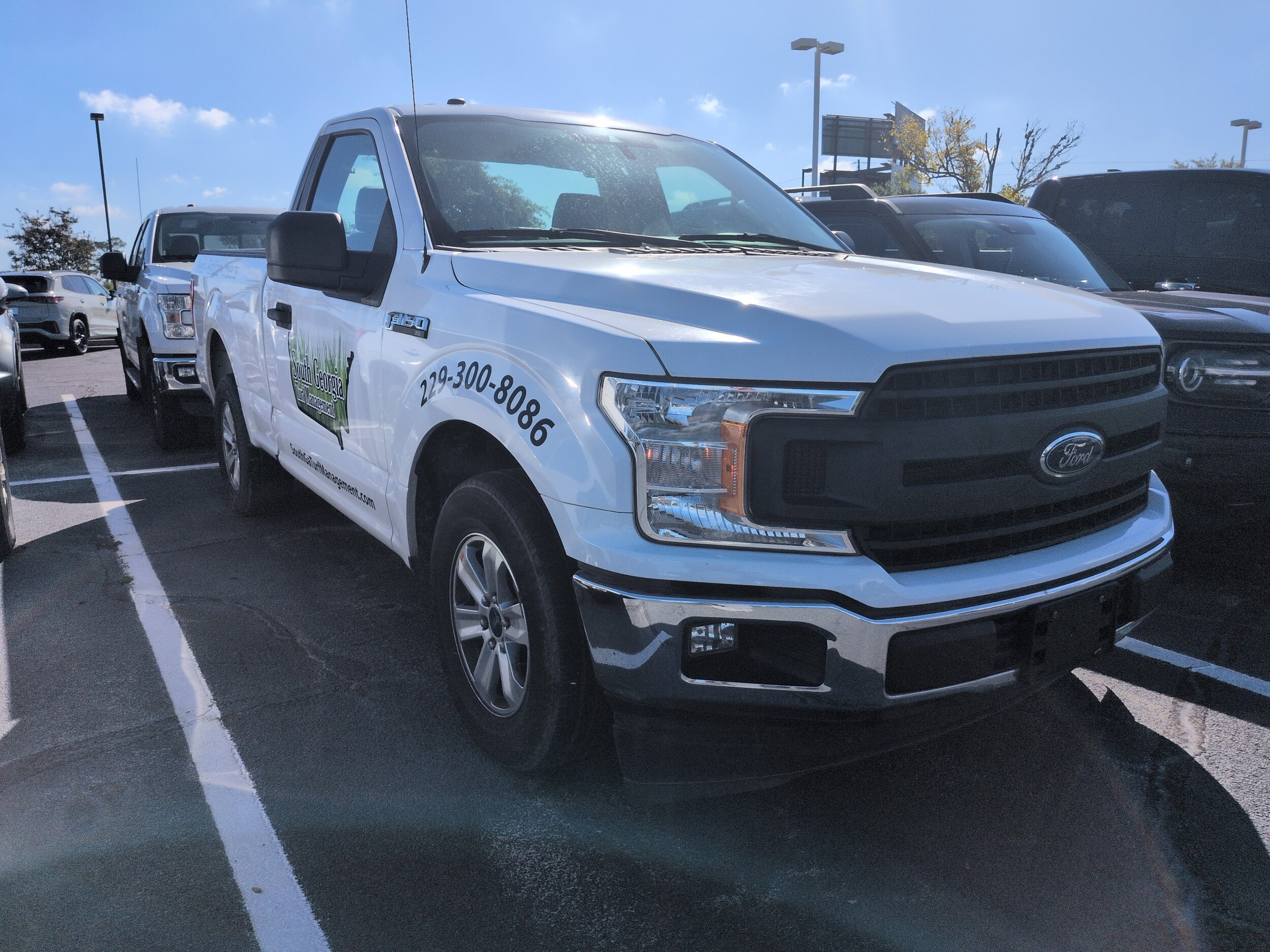 2019 Ford F-150 XL photo 2