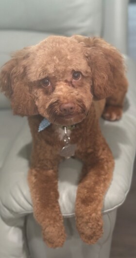 Staff member Bruno from ID_194446