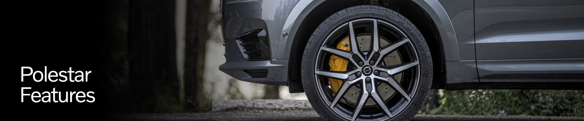 Volvo Polestar Features