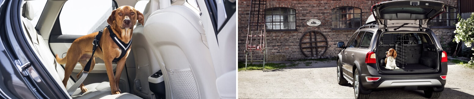 Volvo Pet Accessories