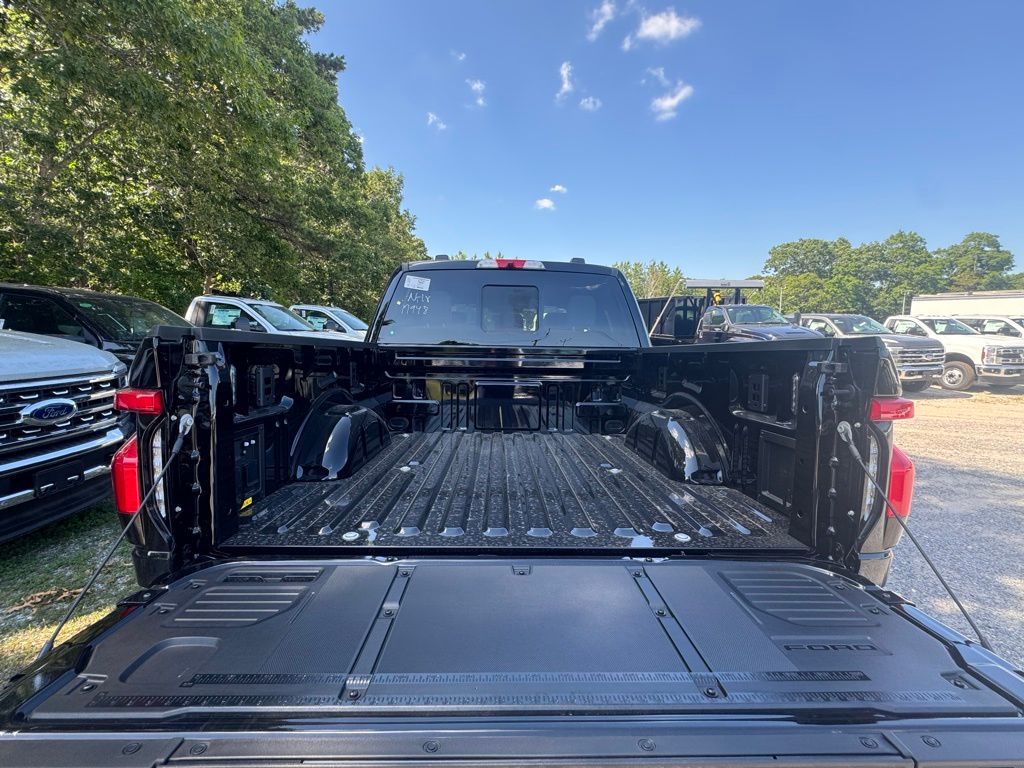 2025 Ford F-150 Lightning Platinum - Photo 6