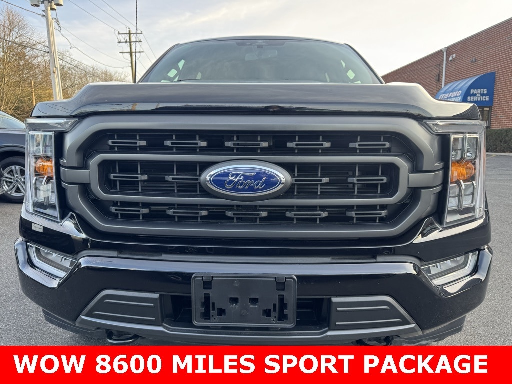 Certified 2023 Ford F-150 XLT with VIN 1FTEW1EP7PFB68998 for sale in Quogue, NY