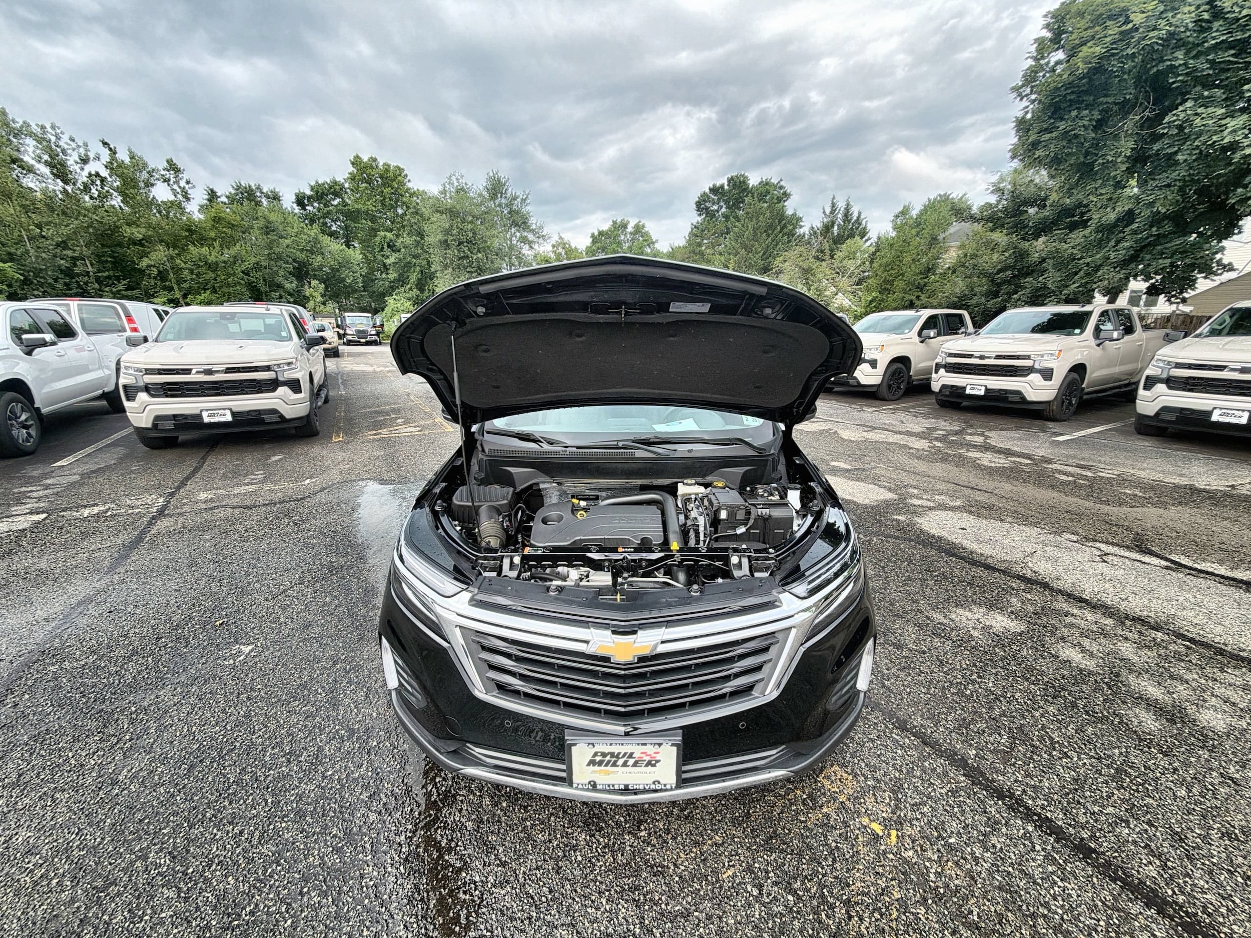 Photo 31