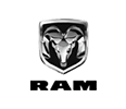 Vehicle Brand