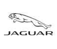 Vehicle Brand