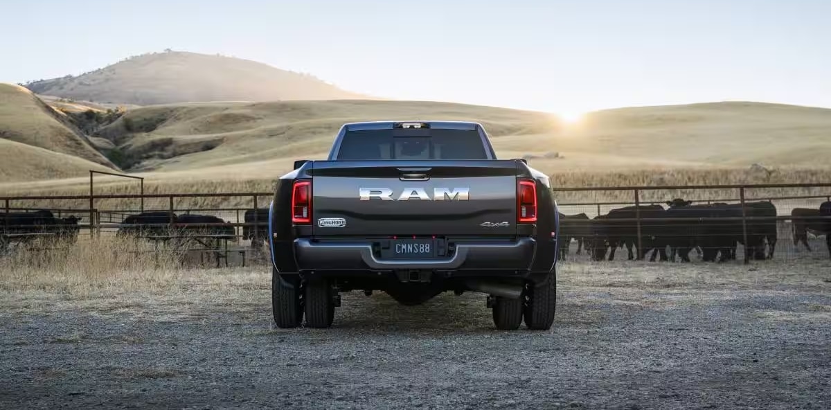 2025 Ram 3500 Back with Cows