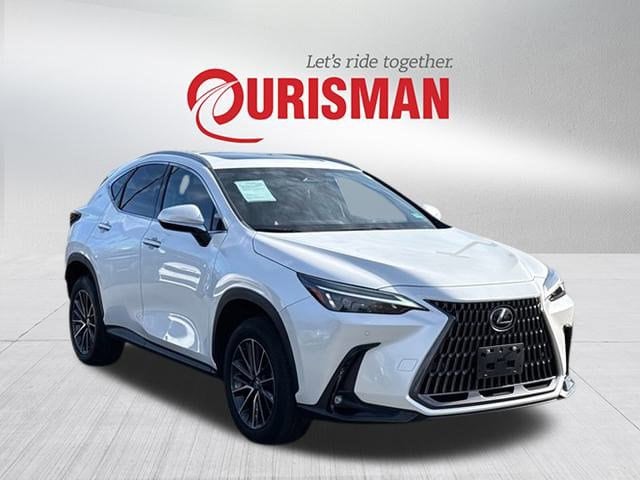 2024 Lexus NX 350's photo