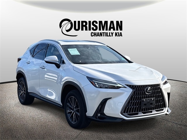 2024 Lexus NX 350's photo