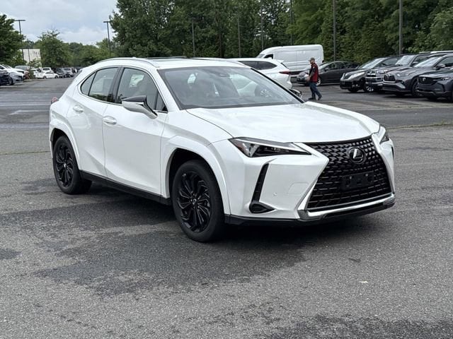 2024 Lexus UX 300h 250h Premium AWD's photo