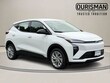  Chevrolet Bolt