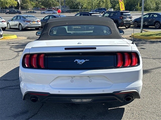 2023 Ford Mustang EcoBoost Premium Convertible photo 3