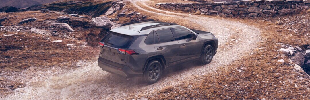 RAV4