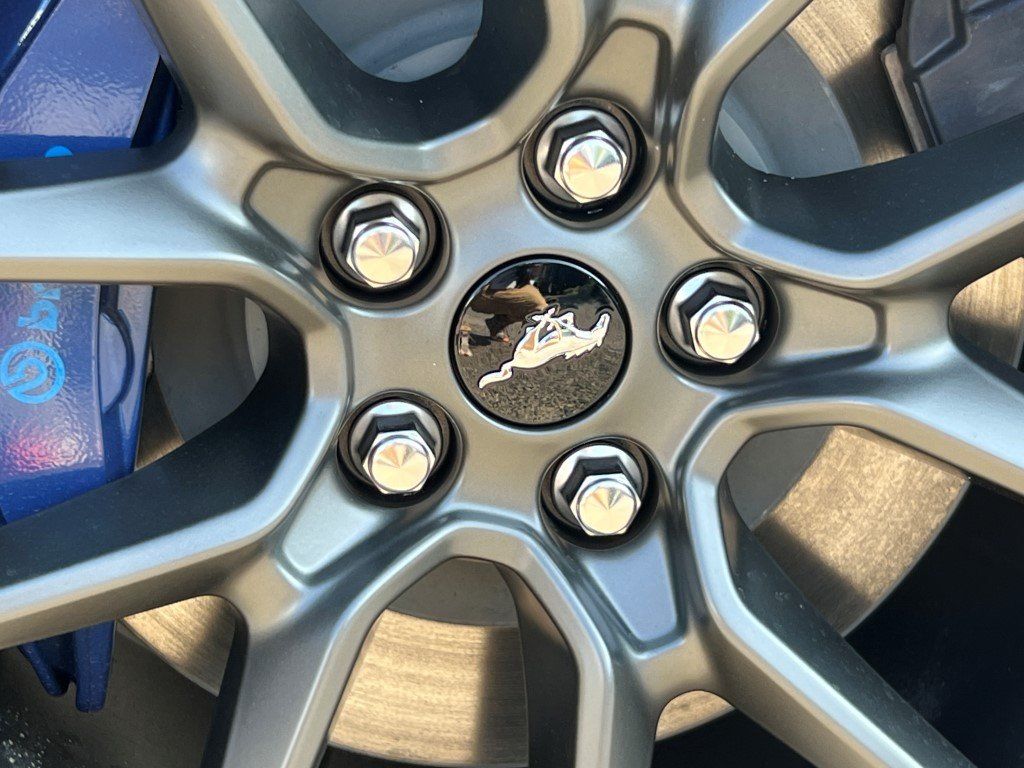 2025 Ford Mustang Dark Horse - Photo 33