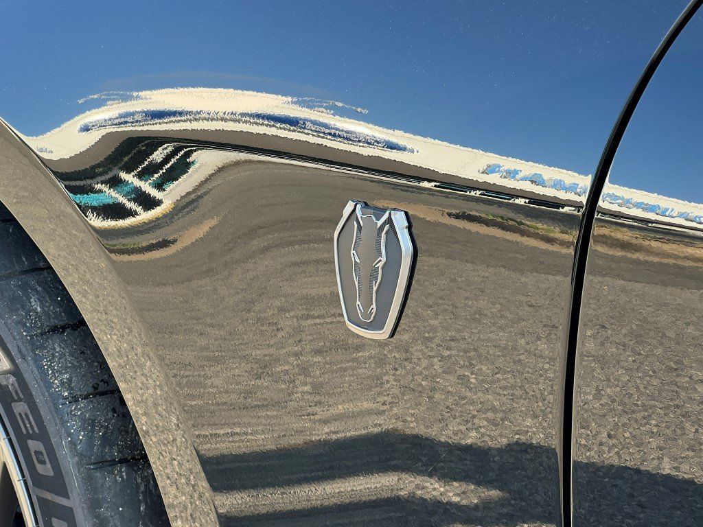 2025 Ford Mustang Dark Horse - Photo 12