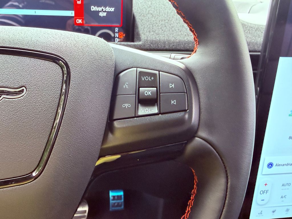 2025 Ford Mustang Mach-E Premium - Photo 14
