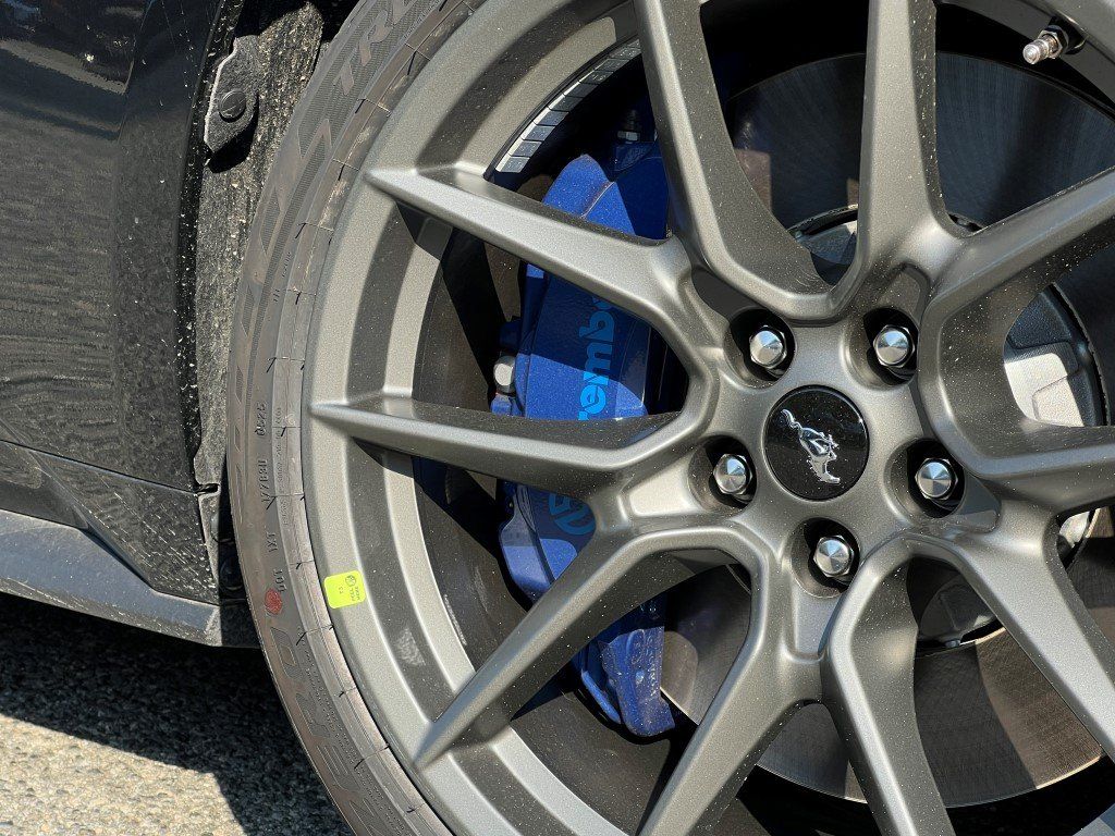 2025 Ford Mustang Dark Horse - Photo 6