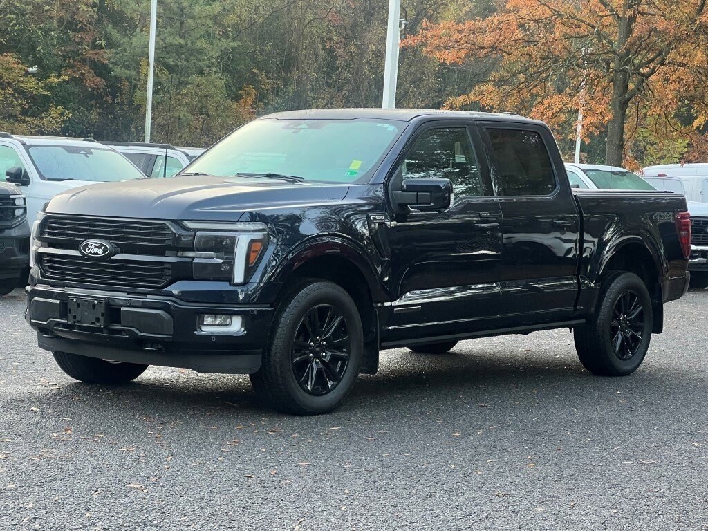 2025 Ford F-150 Platinum photo 2