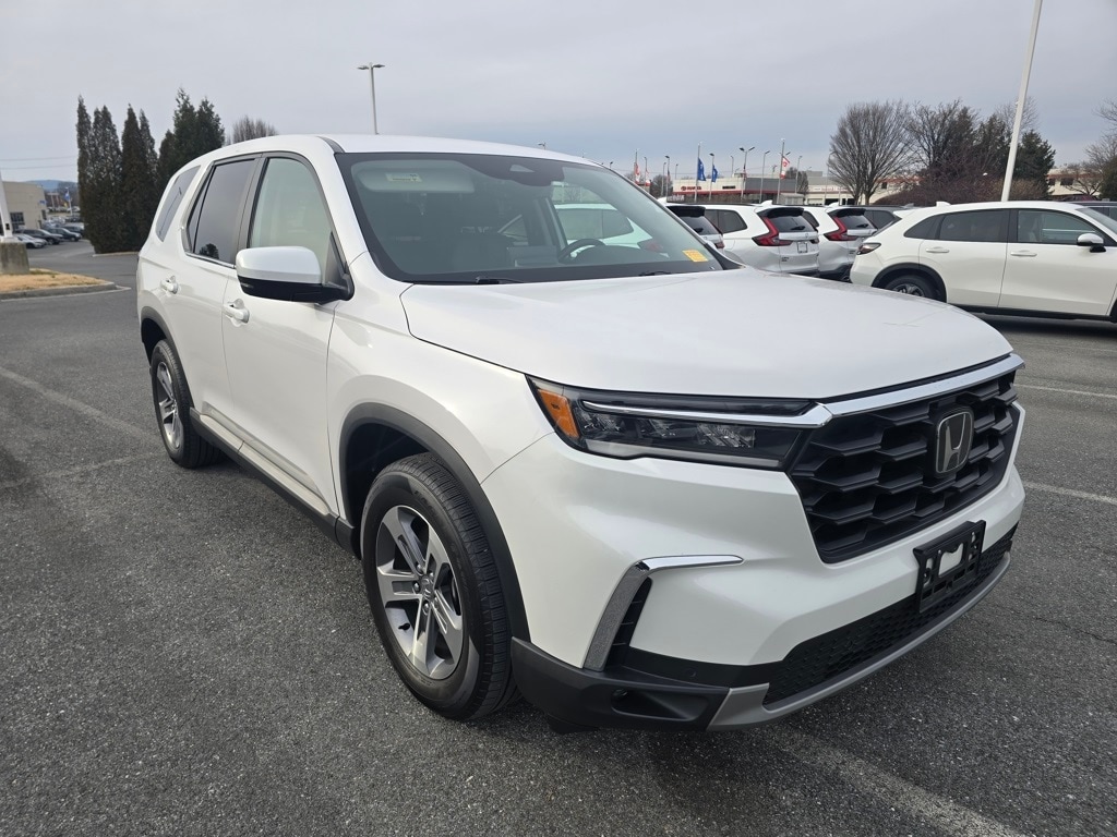 2023 Honda Pilot EX-L's photo