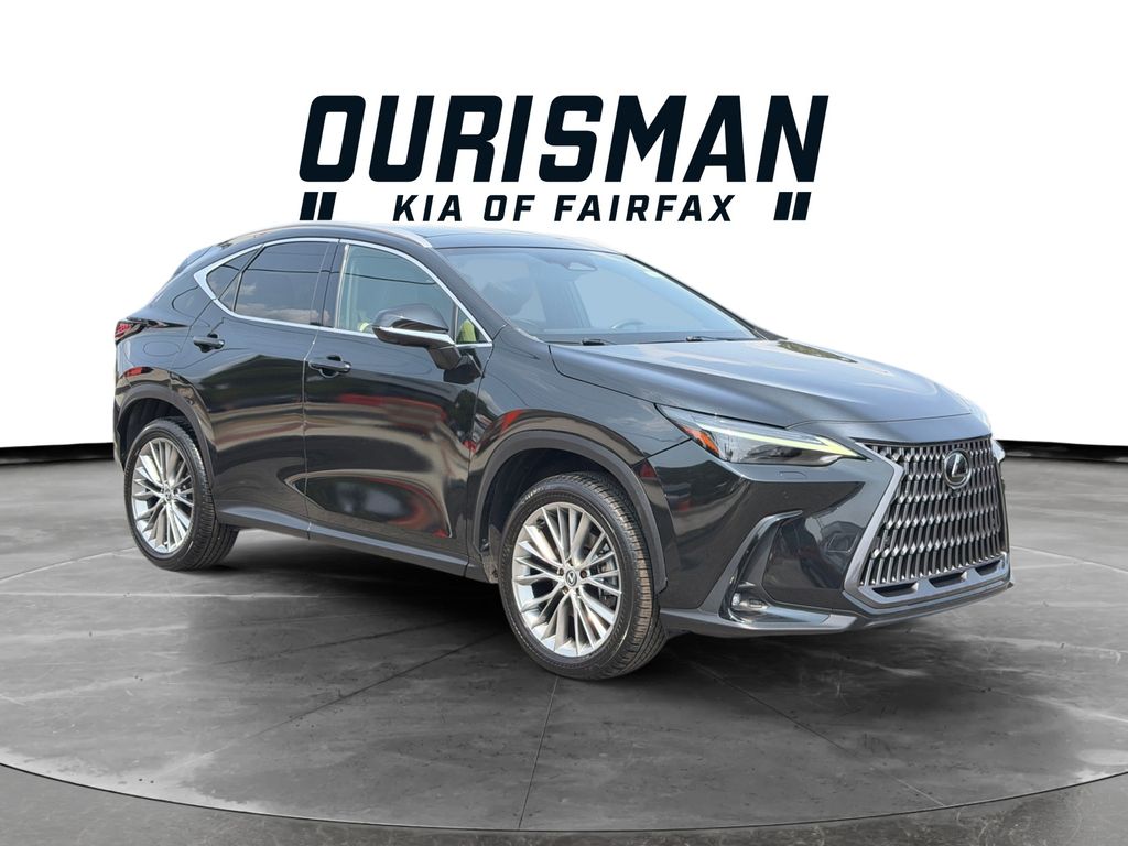 2024 Lexus NX