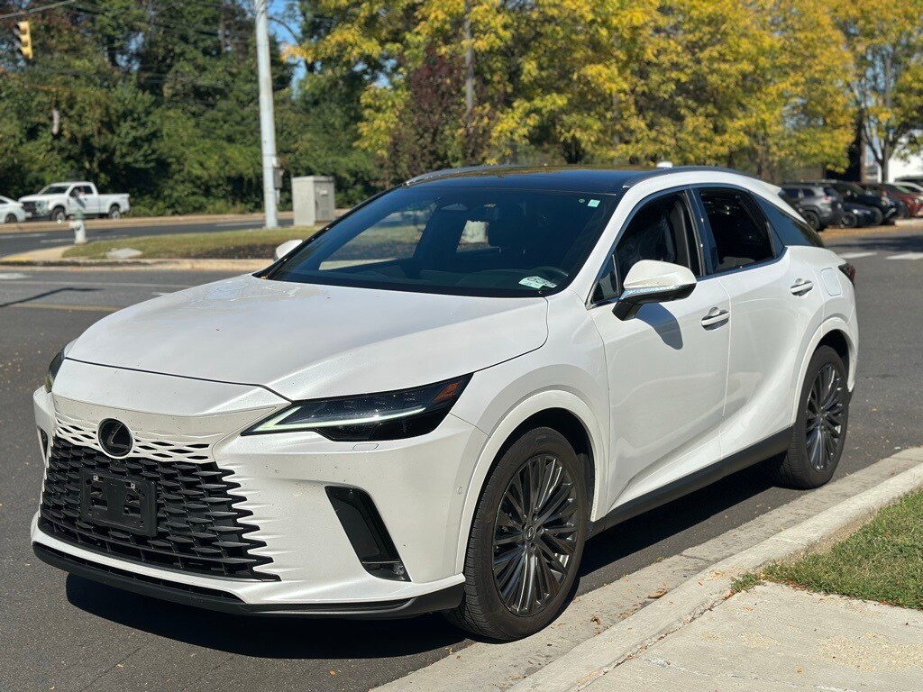 2023 Lexus RX 350 Luxury photo 3