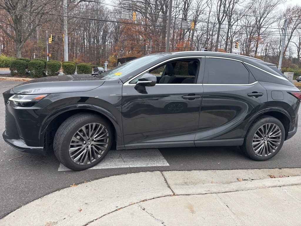 2024 Lexus RX 350h Luxury photo 4