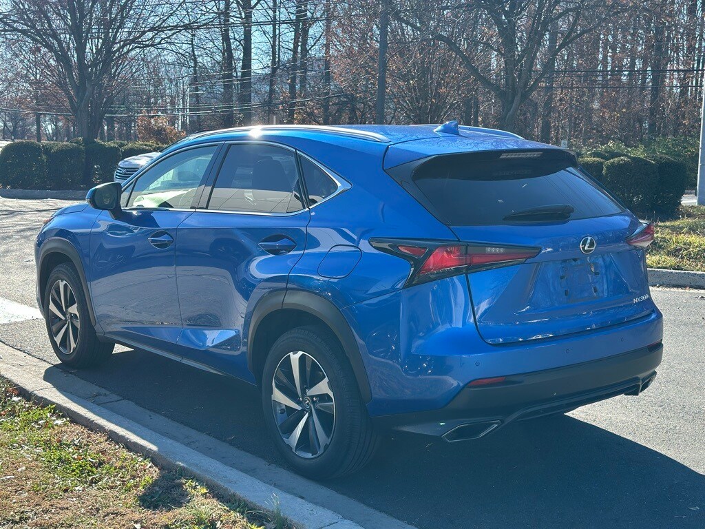 2019 Lexus NX 300 Luxury photo 2