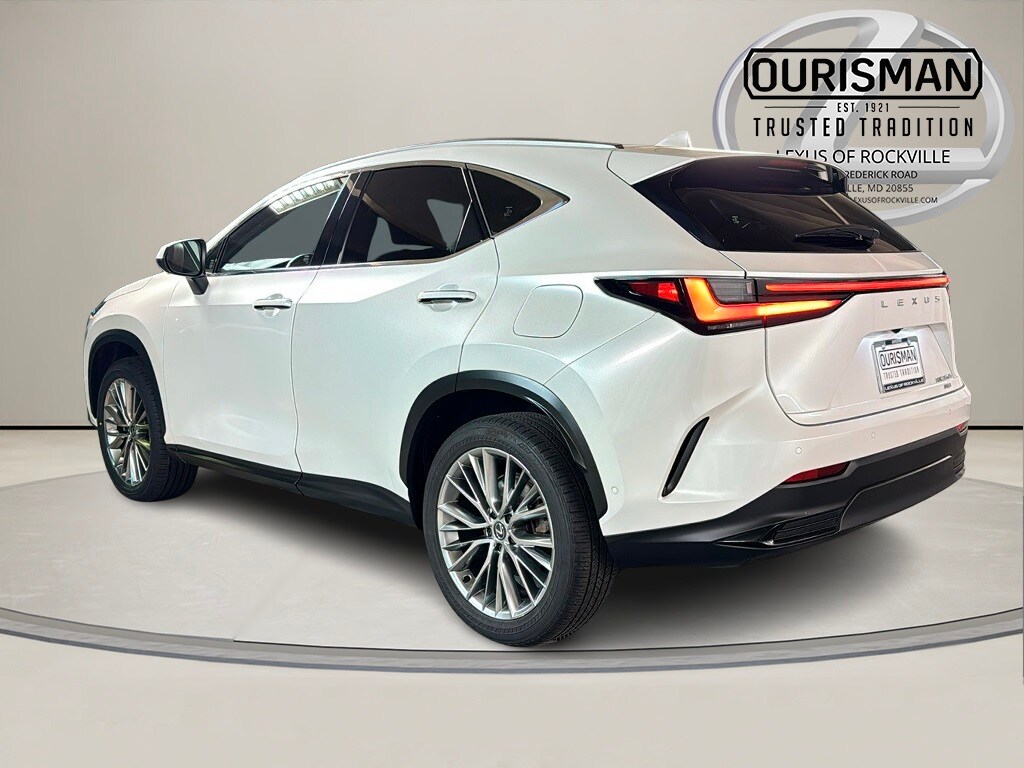 2024 Lexus NX 350h Luxury photo 2