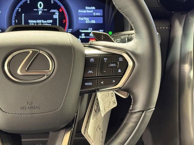 2025 Lexus LX 700h Luxury - Photo 19