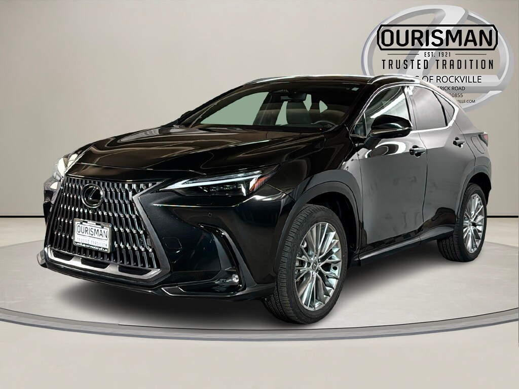2024 Lexus NX 350 Luxury photo 2