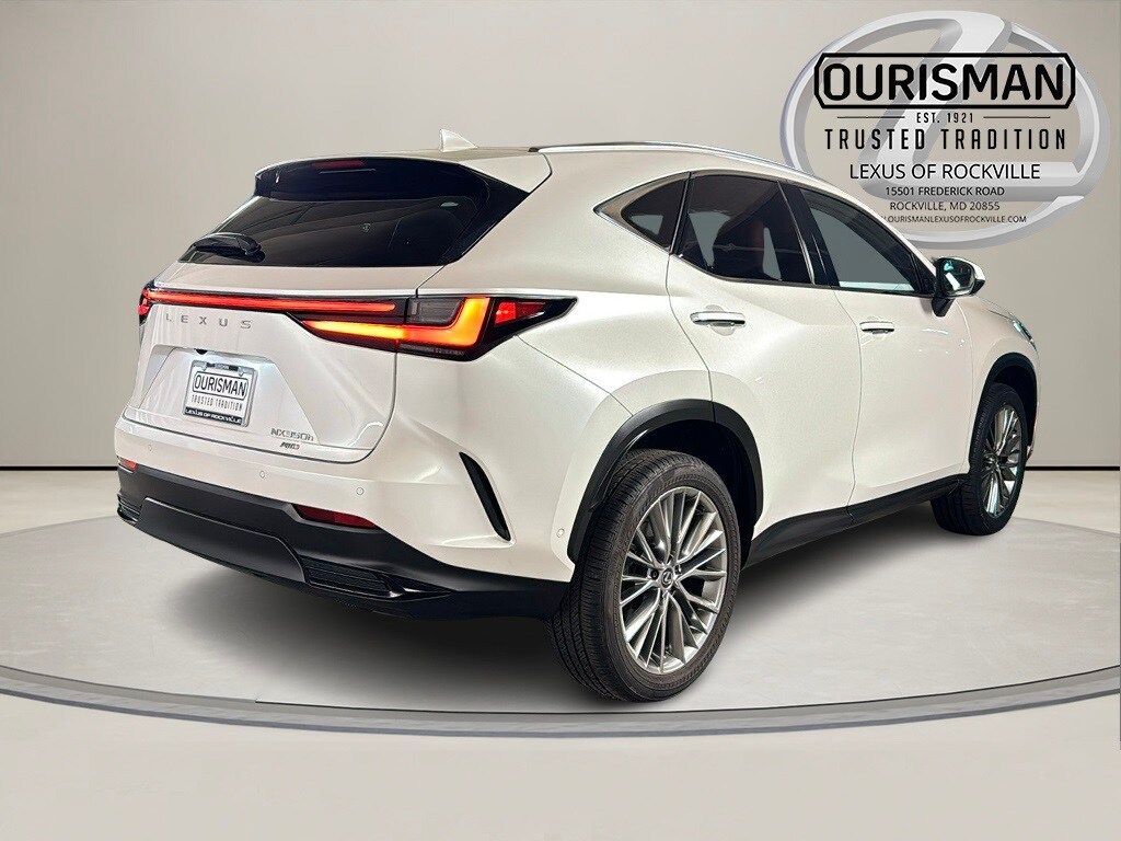 2024 Lexus NX 350h Luxury photo 3