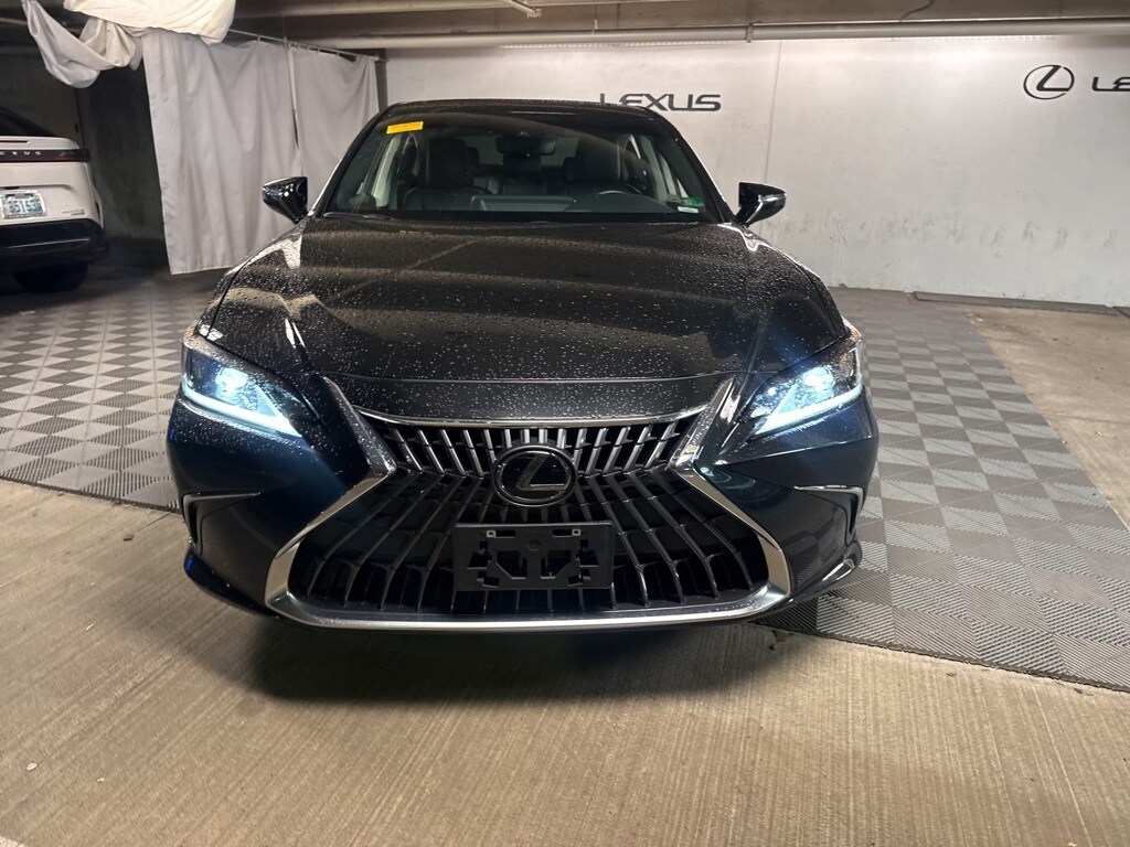 2024 Lexus ES 250 Premium photo 2