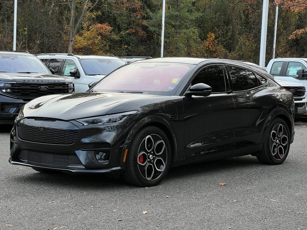 2022 Ford Mustang Mach-E GT photo 2