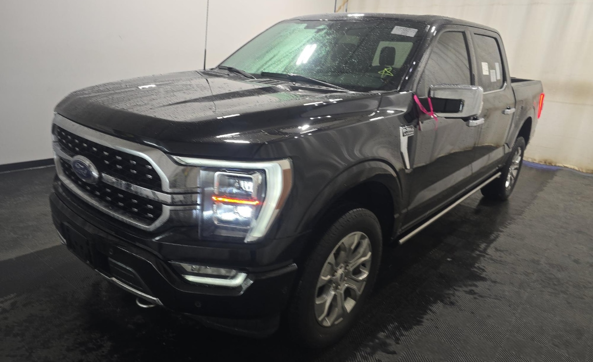 2023 Ford F-150 Platinum's photo