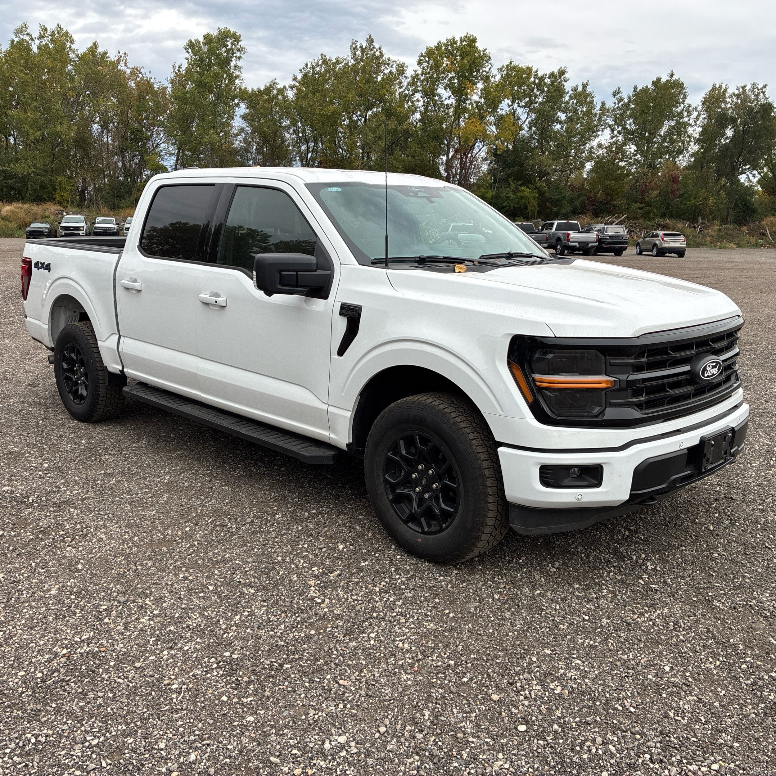 Used 2024 Ford F-150 XLT Truck