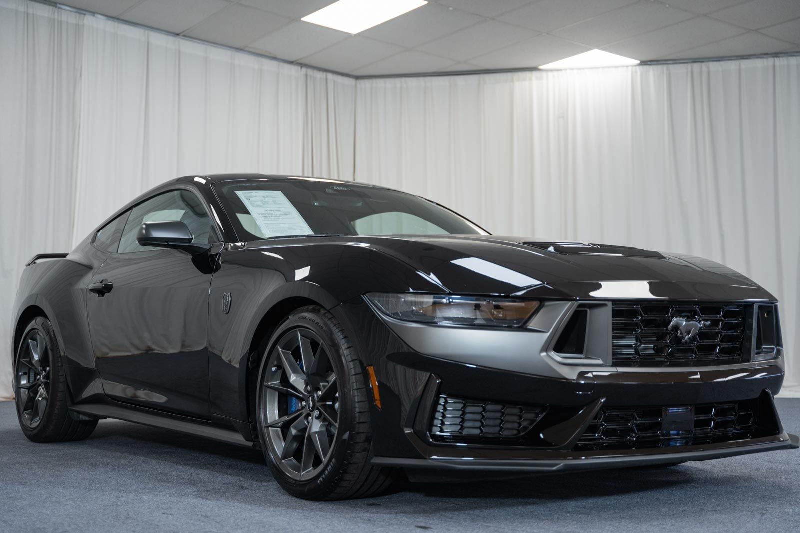 2025 Ford Mustang Dark Horse's photo
