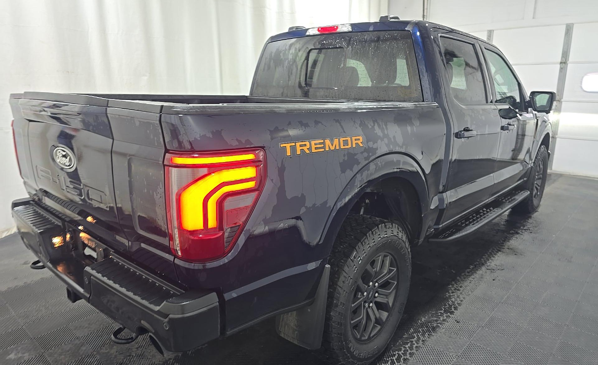 Used 2025 Ford F-150 Tremor Truck