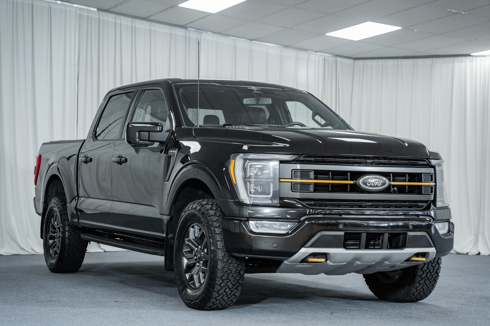 2023 Ford F-150 Tremor's photo