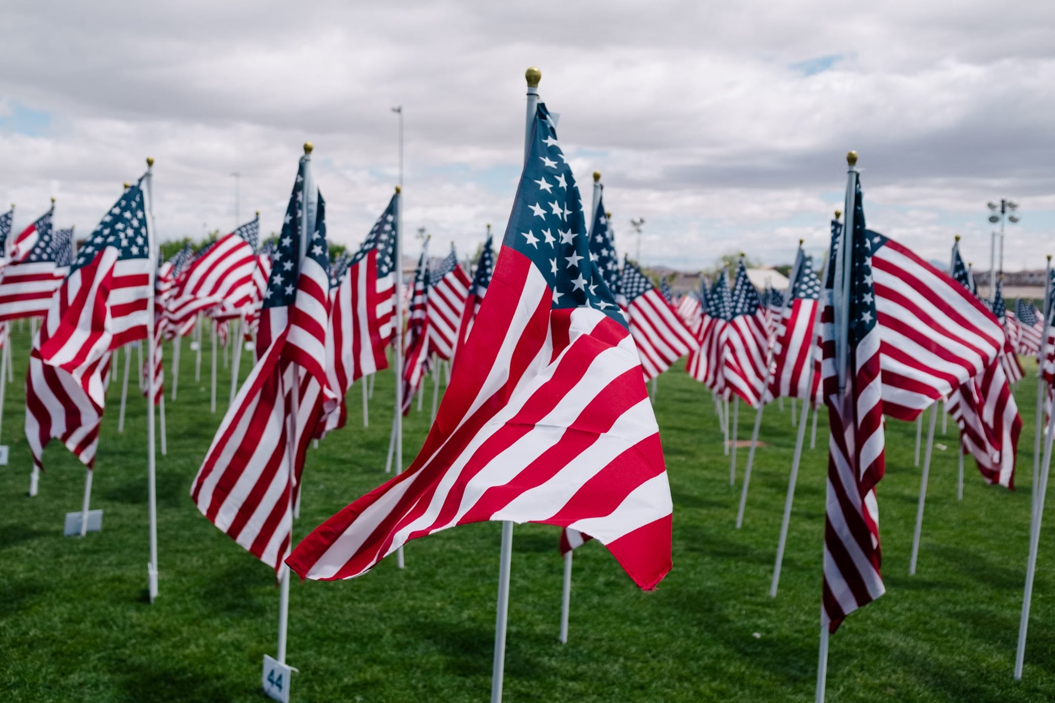 Flags in grass