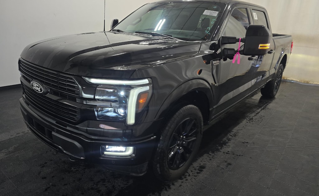 Used 2024 Ford F-150 Platinum Truck