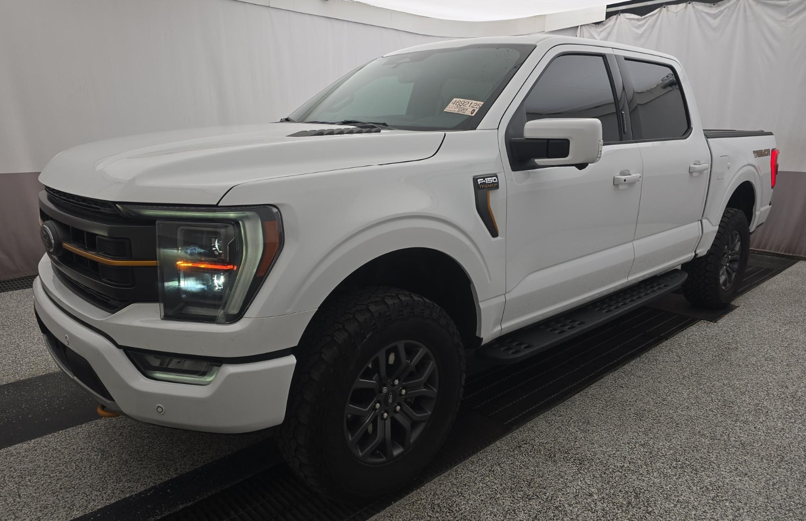 2023 Ford F-150 Tremor's photo