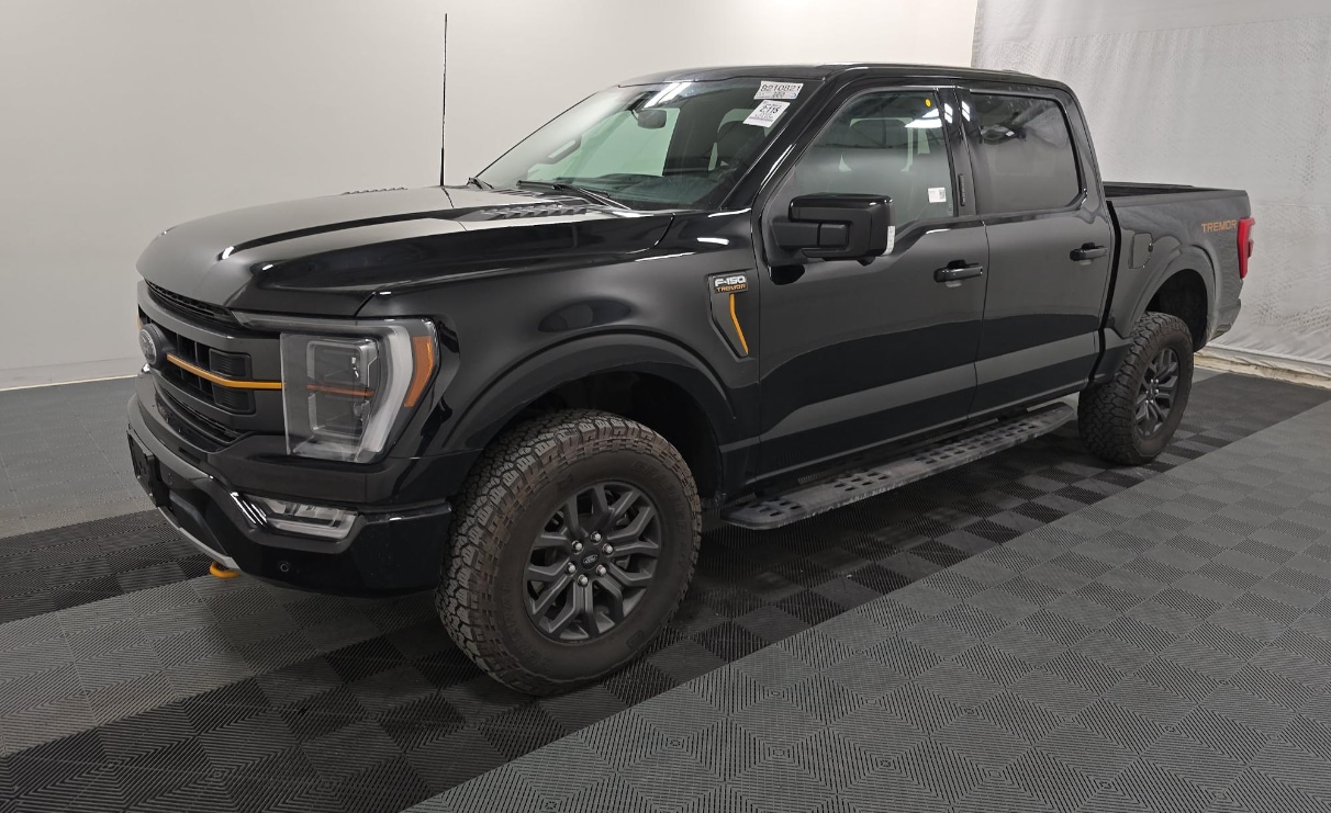 2023 Ford F-150 Tremor's photo