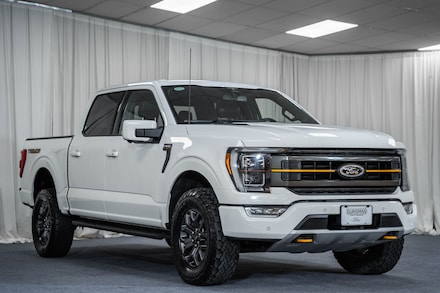 2023 Ford F-150 Tremor Truck
