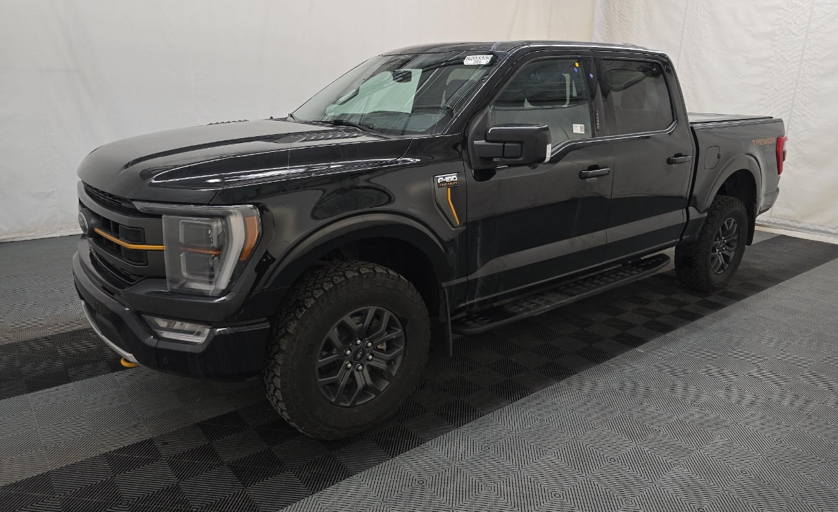 2023 Ford F-150 Tremor's photo