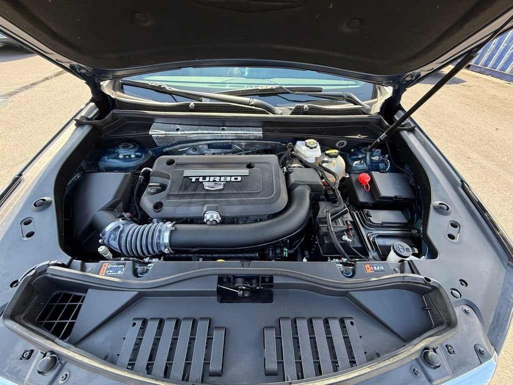 Photo 26